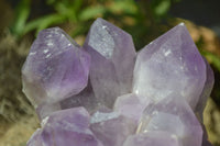 Natural Jacaranda Amethyst Cluster  x 1 From Zambia - Toprock Gemstones and Minerals 