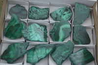 Polished Malachite Slices With Stunning Flower & Banding Patterns  x 12 From Congo - TopRock