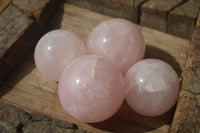 Polished Pink Rose Quartz Spheres  x 4 From Madagascar - Toprock Gemstones and Minerals 