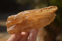 Natural Honey Aragonite Etched & Cobbed Pieces  x 12 From Namibia