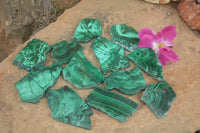 Polished Malachite Slices With Stunning Flower & Banding Patterns  x 12 From Congo - TopRock