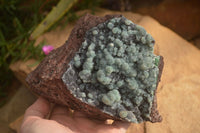 Natural Drusy Coated Ball Malachite On Dolomite Specimen x 1 From Likasi, Congo