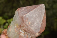 Natural Large Single Red Hematoid Quartz Crystals x 4 From Madagascar - TopRock