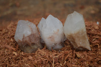 Natural Single Pineapple Candle Quartz Crystals  x 35 From Antsirabe, Madagascar - Toprock Gemstones and Minerals 