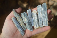 Natural Single Blue Kyanite Crystals x 45 From Karoi, Zimbabwe