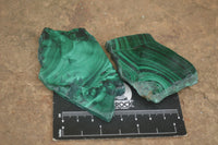 Polished Malachite Slices With Stunning Flower & Banding Patterns  x 12 From Congo - TopRock