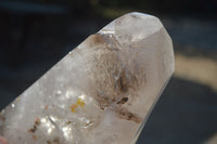 Polished Extra Large Smokey Window Quartz Crystal x 1 From Madagascar