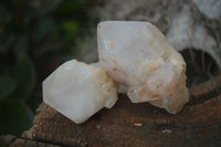 Natural Single Pineapple Candle Quartz Crystals  x 35 From Antsirabe, Madagascar - Toprock Gemstones and Minerals 