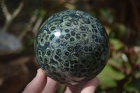 Polished Stromatolite / Kambamba Jasper Spheres  x 2 From Madagascar - Toprock Gemstones and Minerals 