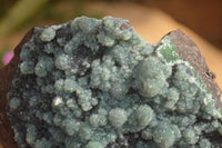 Natural Drusy Coated Ball Malachite On Dolomite Specimen x 1 From Likasi, Congo