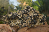 Natural Extra Large Schorl Tourmaline  With Vermiculite Specimens x 2 From Erongo, Namibia