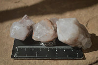 Natural Single Pineapple Candle Quartz Crystals  x 35 From Antsirabe, Madagascar - Toprock Gemstones and Minerals 