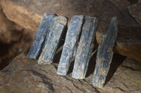 Natural Single Blue Kyanite Crystals x 45 From Karoi, Zimbabwe