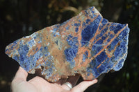 Polished Blue Sodalite Standing Slab  x 1 From Namibia - Toprock Gemstones and Minerals 