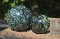 Polished Stromatolite / Kambamba Jasper Spheres  x 2 From Madagascar - Toprock Gemstones and Minerals 