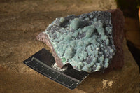 Natural Drusy Coated Ball Malachite On Dolomite Specimen x 1 From Likasi, Congo