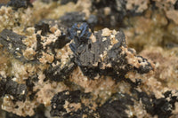 Natural Extra Large Schorl Tourmaline  With Vermiculite Specimens x 2 From Erongo, Namibia