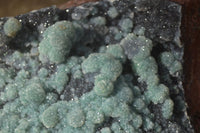 Natural Drusy Coated Ball Malachite On Dolomite Specimen x 1 From Likasi, Congo