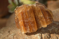 Natural Honey Aragonite Etched & Cobbed Pieces  x 12 From Namibia