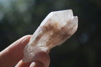 Natural Single Pineapple Candle Quartz Crystals  x 35 From Antsirabe, Madagascar - Toprock Gemstones and Minerals 