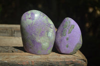 Polished Stichtite & Serpentine Standing Free Forms With Silky Purple Threads  x 2 From Barberton, South Africa - Toprock Gemstones and Minerals 