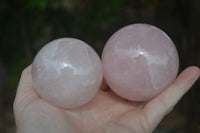 Polished Pink Rose Quartz Spheres  x 4 From Madagascar - Toprock Gemstones and Minerals 