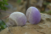 Polished Chevron Amethyst Galet-Palm Stones x 12 From Madagascar