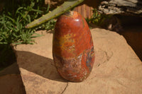 Polished  Red Jasper Standing Free Form  x 1 From Madagascar