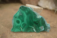 Polished Malachite Slices With Stunning Flower & Banding Patterns  x 12 From Congo - TopRock