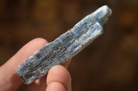 Natural Single Blue Kyanite Crystals x 45 From Karoi, Zimbabwe