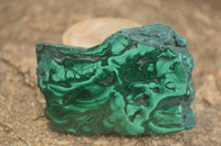 Polished Malachite Slices With Stunning Flower & Banding Patterns  x 12 From Congo - TopRock