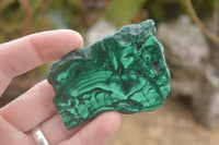 Polished Malachite Slices With Stunning Flower & Banding Patterns  x 12 From Congo - TopRock