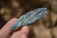 Natural Single Blue Kyanite Crystals x 45 From Karoi, Zimbabwe