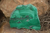 Polished Malachite Slices With Stunning Flower & Banding Patterns  x 12 From Congo - TopRock