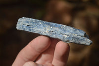 Natural Single Blue Kyanite Crystals x 45 From Karoi, Zimbabwe