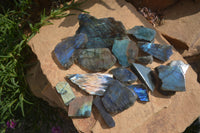 Polished One Sided A Grade Labradorite Flashy Specimens - Sold per 1 Kg (18-25 per pack) - From Tulear, Madagascar - Toprock Gemstones and Minerals 