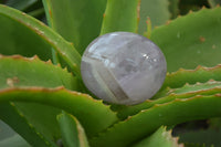 Polished Chevron Amethyst Galet-Palm Stones x 12 From Madagascar