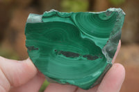 Polished Malachite Slices With Stunning Flower & Banding Patterns  x 12 From Congo - TopRock