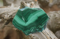 Polished Malachite Slices With Stunning Flower & Banding Patterns  x 12 From Congo - TopRock