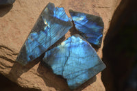 Polished One Sided A Grade Labradorite Flashy Specimens - Sold per 1 Kg (18-25 per pack) - From Tulear, Madagascar - Toprock Gemstones and Minerals 