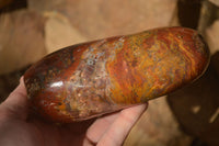 Polished  Red Jasper Standing Free Form  x 1 From Madagascar