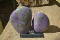 Polished Stichtite & Serpentine Standing Free Forms With Silky Purple Threads  x 2 From Barberton, South Africa - Toprock Gemstones and Minerals 