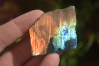 Polished One Sided A Grade Labradorite Flashy Specimens - Sold per 1 Kg (18-25 per pack) - From Tulear, Madagascar - Toprock Gemstones and Minerals 