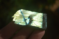 Polished One Sided A Grade Labradorite Flashy Specimens - Sold per 1 Kg (18-25 per pack) - From Tulear, Madagascar - Toprock Gemstones and Minerals 