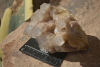 Natural Cascading White Phantom Smokey Quartz Clusters  x 2 From Luena, Congo - Toprock Gemstones and Minerals 