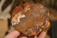 Natural Rough Nguni Jasper Cobbed Specimens  x 12 From Southern Africa