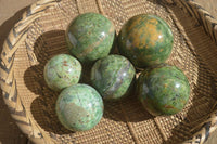 Polished Green Chrysoprase Spheres  x 6 From Madagascar