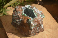 Natural Drusy Coated Ball Malachite On Dolomite Specimen  x 1 From Congo