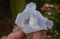 Natural Etched Blue Chalcedony Specimens  x 12 From Nsanje, Malawi