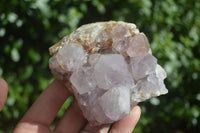 Natural Spirit Amethyst Quartz Clusters  x 4 From Boekenhouthoek, South Africa - Toprock Gemstones and Minerals 